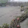PHOTO-2020-01-13-09-56-03